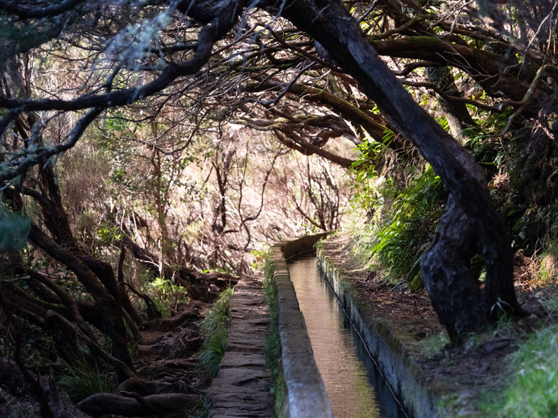 levadas-madeira-04